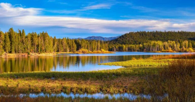 Cache of Rare Minerals in Wyoming Could See the U.S. Beat China in Mineral Resources 