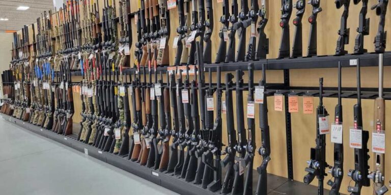 Floridians Get a New Reason to Hit the Gun Store